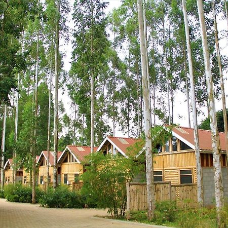 The Great Outdoors Uganda Hotel Vumba Bagian luar foto